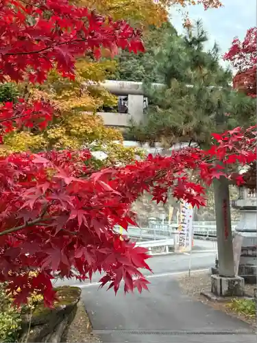 秩父御嶽神社(埼玉県)