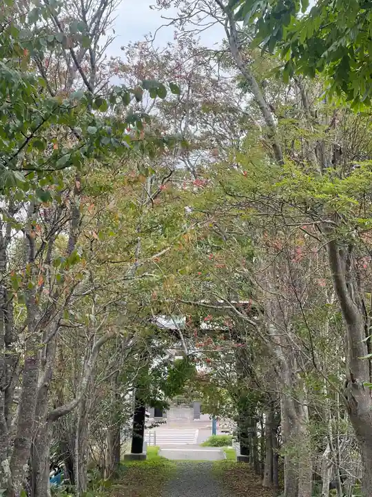 釧路一之宮 厳島神社の自然