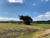 稲荷神社の景色