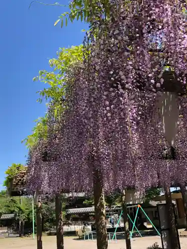 日吉神社の庭園