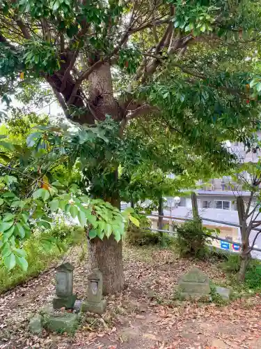 神明神社(千葉県)