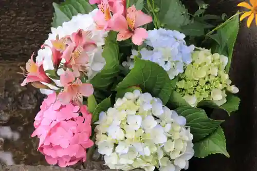 熊野福藏神社の手水