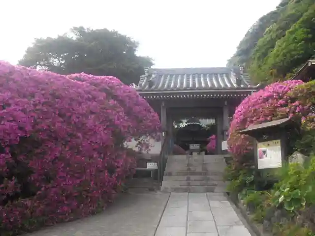 安養院 (田代寺)の山門・神門