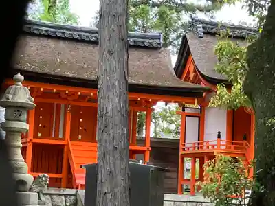 冨吉建速神社・八劔社(須成神社)(愛知県)