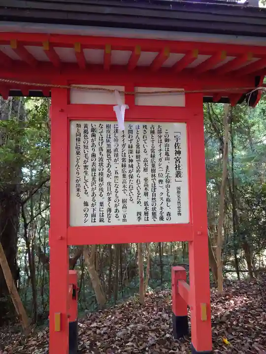 宇佐神宮(大分県)