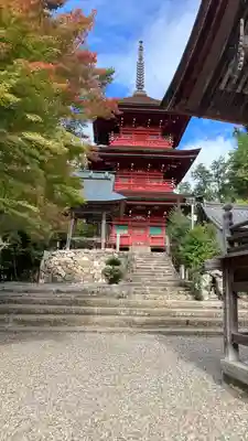 柏原八幡宮のその他建物