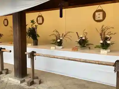 明治神宮(東京都)