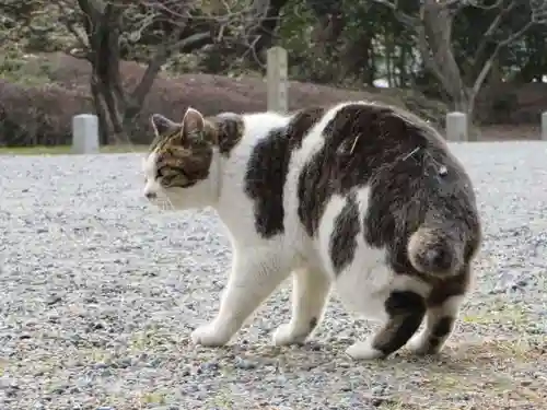 護王神社の動物
