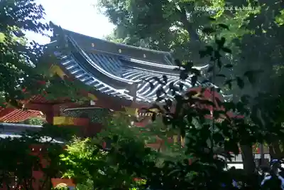 秩父神社の山門・神門