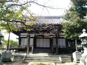 本徳寺の本殿・本堂