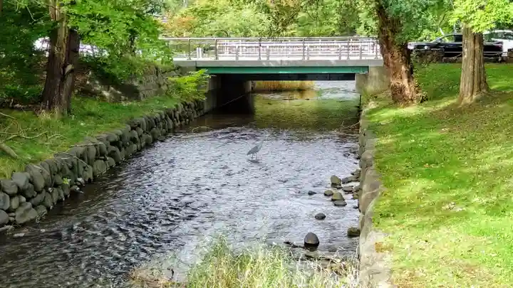 札幌護國神社の周辺