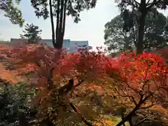 東福禅寺（東福寺）(京都府)