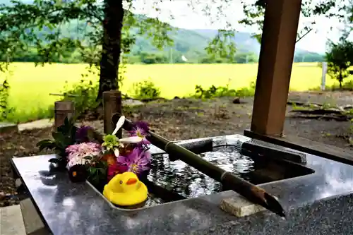 高司神社〜むすびの神の鎮まる社〜の手水