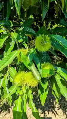 七百餘所神社 の周辺