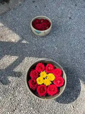 前玉神社(埼玉県)