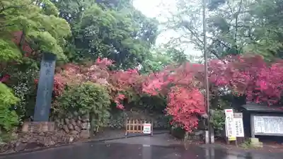 唐澤山神社のその他建物