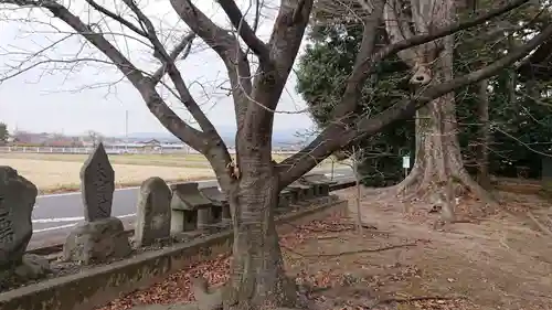 抜鉾神社の末社