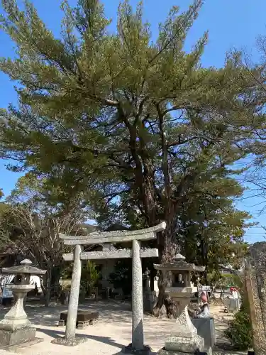 周防国分寺の{uncategorized: "未分類", other: "その他", undefined: "問題あり", building: "その他建物", grave: "お墓", sacred_gate: "鳥居", guardian: "狛犬", statue: "像", buddha: "仏像", history: "歴史", nature: "自然", garden: "庭園", animal: "動物", pagoda: "塔", temizu: "手水舎", mountain_gate: "山門・神門", sanctuary: "本殿・本堂", subordinate: "末社・摂社", art: "芸術", scenery: "景色", jizo: "地蔵", ema: "絵馬", goshuin: "御朱印", omikuji: "おみくじ", items: "授与品その他", amulet: "お守り", goshuincho: "御朱印帳", eats: "食事", festival: "お祭り", votive_dance: "神楽", shichigosan: "七五三参", wedding: "結婚式", experience: "体験その他", initially: "初詣", around: "周辺", anti_infection: "感染症対策"}