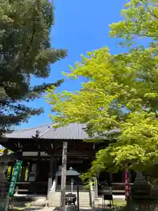 犬山寂光院の本殿・本堂(2023年05月24日(水) 20時03分15秒投稿)