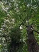 日枝神社(神大寺)(神奈川県)