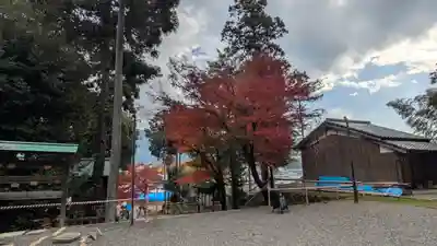 八幡宮(吉利倶八幡宮・勧修寺八幡宮)(京都府)