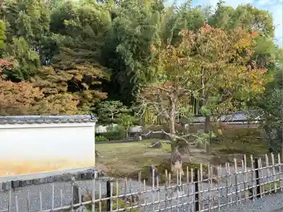 圓徳院(京都府)