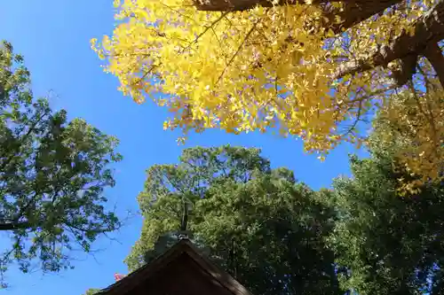 阿邪訶根神社の景色