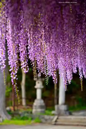日吉神社(東京都)