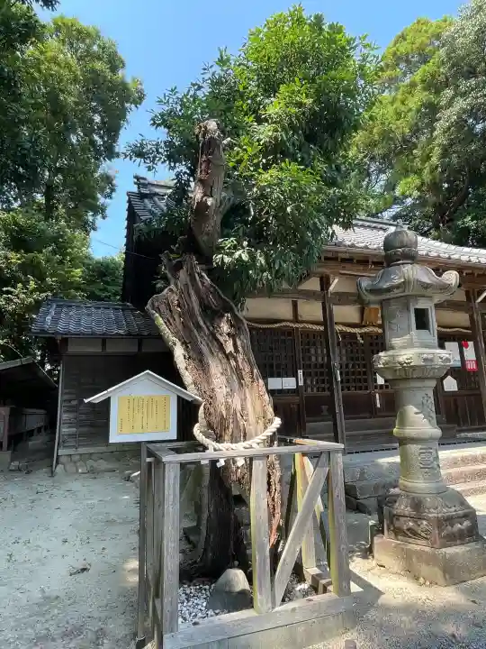 伊賀留我神社(南社)(三重県)
