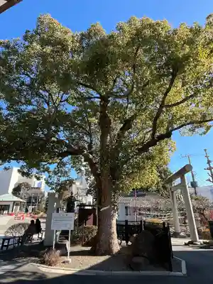 水戸東照宮(茨城県)