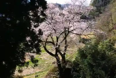 赤岩稲荷神社の景色