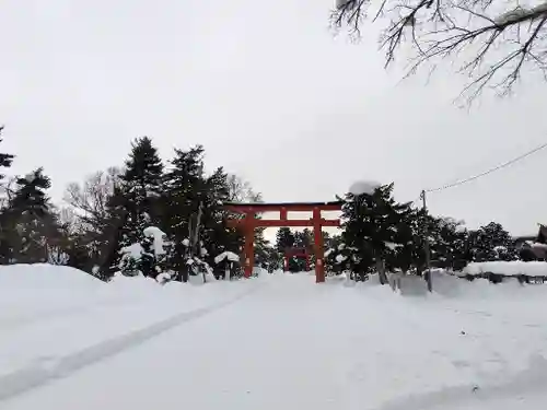 北海道護國神社の鳥居