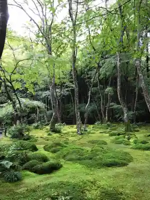 祇王寺のその他建物