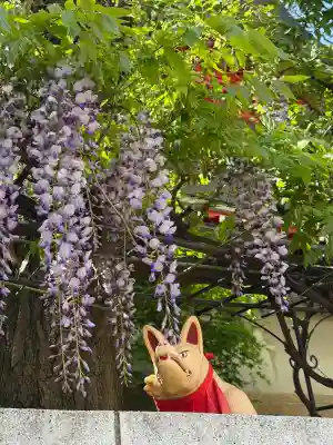 京濱伏見稲荷神社の{uncategorized: "未分類", other: "その他", undefined: "問題あり", building: "その他建物", grave: "お墓", sacred_gate: "鳥居", guardian: "狛犬", statue: "像", buddha: "仏像", history: "歴史", nature: "自然", garden: "庭園", animal: "動物", pagoda: "塔", temizu: "手水舎", mountain_gate: "山門・神門", sanctuary: "本殿・本堂", subordinate: "末社・摂社", art: "芸術", scenery: "景色", jizo: "地蔵", ema: "絵馬", goshuin: "御朱印", omikuji: "おみくじ", items: "授与品その他", amulet: "お守り", goshuincho: "御朱印帳", eats: "食事", festival: "お祭り", votive_dance: "神楽", shichigosan: "七五三参", wedding: "結婚式", experience: "体験その他", initially: "初詣", around: "周辺", anti_infection: "感染症対策"}