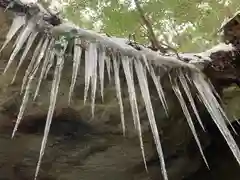 西林寺(兵庫県)