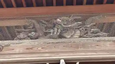 妙泉寺(兵庫県)