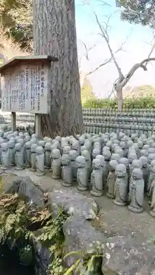長谷寺の{uncategorized: "未分類", other: "その他", undefined: "問題あり", building: "その他建物", grave: "お墓", sacred_gate: "鳥居", guardian: "狛犬", statue: "像", buddha: "仏像", history: "歴史", nature: "自然", garden: "庭園", animal: "動物", pagoda: "塔", temizu: "手水舎", mountain_gate: "山門・神門", sanctuary: "本殿・本堂", subordinate: "末社・摂社", art: "芸術", scenery: "景色", jizo: "地蔵", ema: "絵馬", goshuin: "御朱印", omikuji: "おみくじ", items: "授与品その他", amulet: "お守り", goshuincho: "御朱印帳", eats: "食事", festival: "お祭り", votive_dance: "神楽", shichigosan: "七五三参", wedding: "結婚式", experience: "体験その他", initially: "初詣", around: "周辺", anti_infection: "感染症対策"}