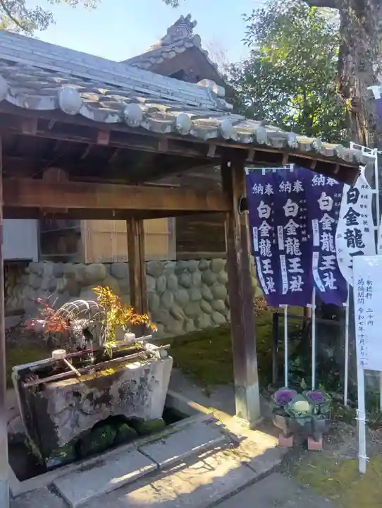 白金龍王社(愛知県)