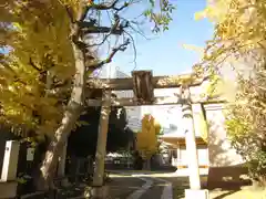 白鬚神社(東京都)