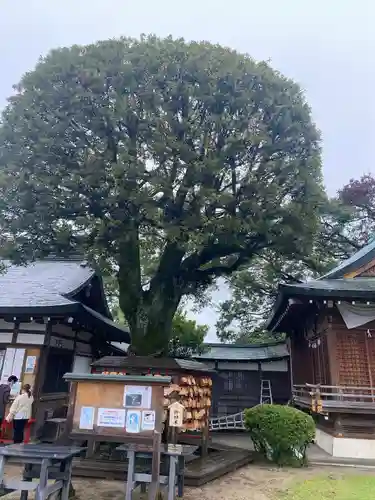 足利織姫神社のその他建物