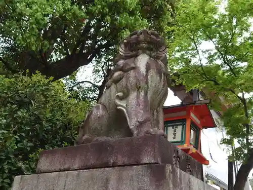 八坂神社(祇園さん)の狛犬