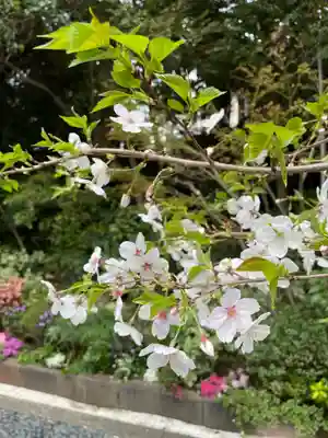 東京大神宮(東京都)