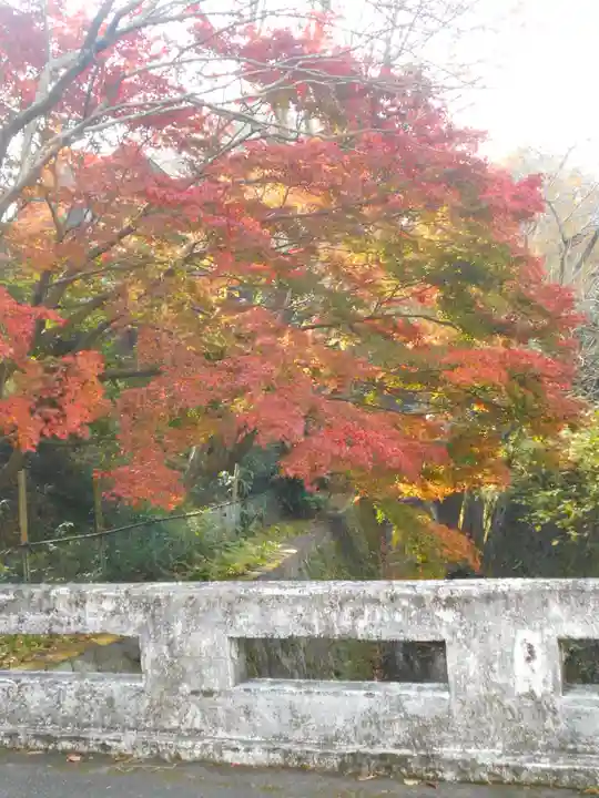 理智光寺跡(理智光寺址)<史跡>の自然