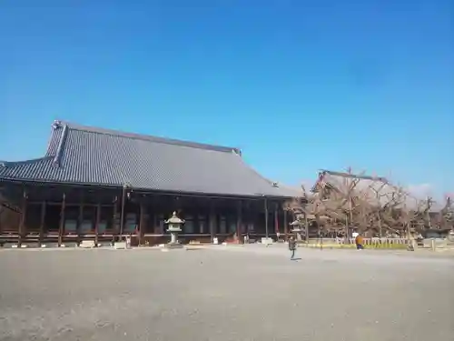 本願寺（西本願寺）の本殿・本堂