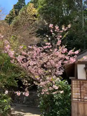 中山寺奥之院(兵庫県)