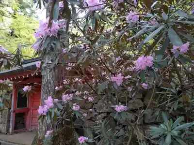 三千院門跡(京都府)