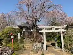 芳林寺の鳥居