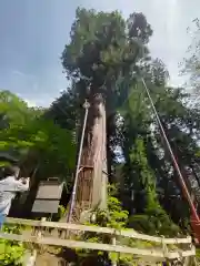 河口浅間神社(山梨県)