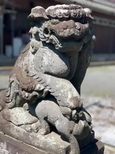 白山神社の狛犬