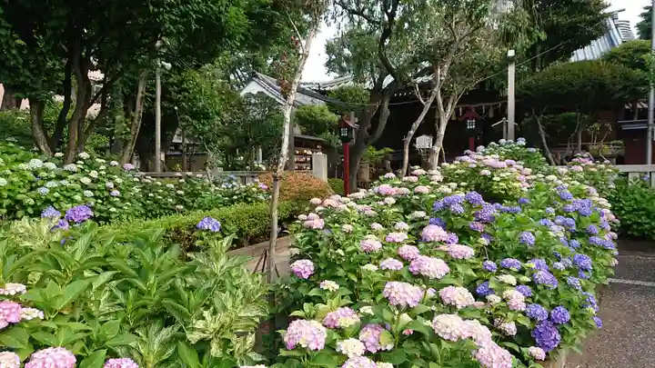 白山神社の庭園